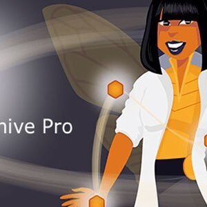 Beehive Pro – WordPress Plugin