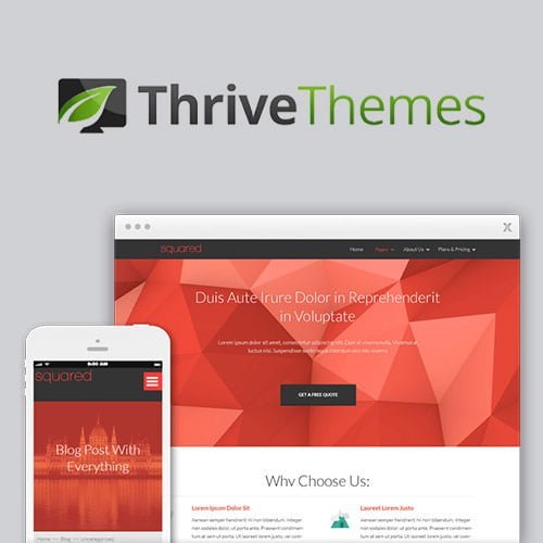 Thrive-Themes-Squared-WordPress-Theme.jpg